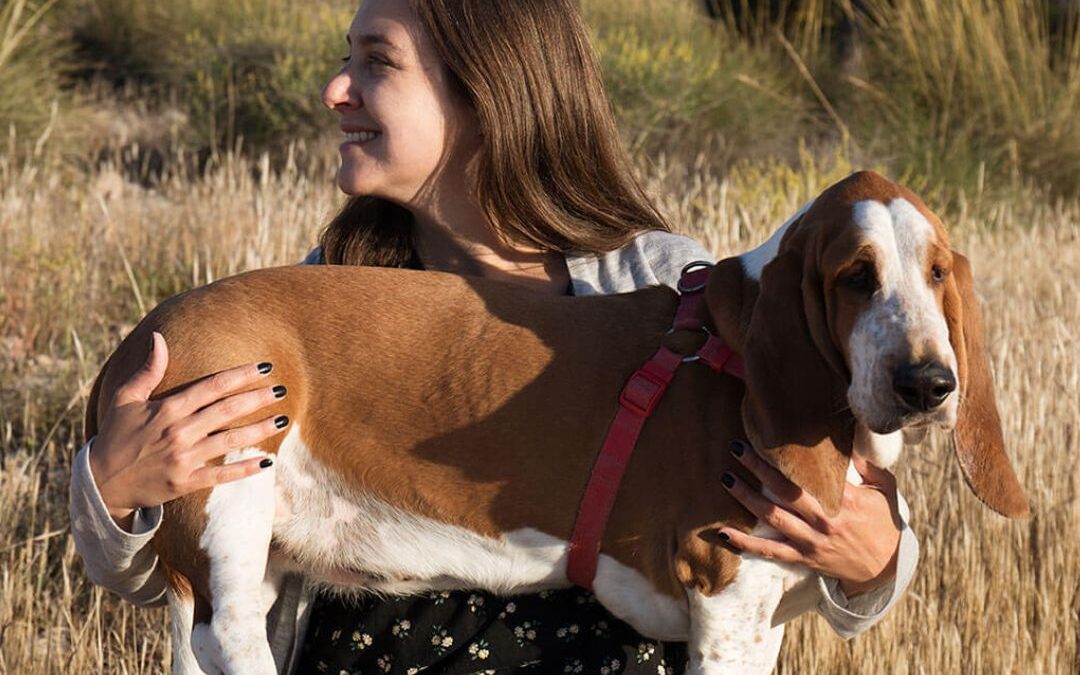 The Dangers of Foxtails & Dogs