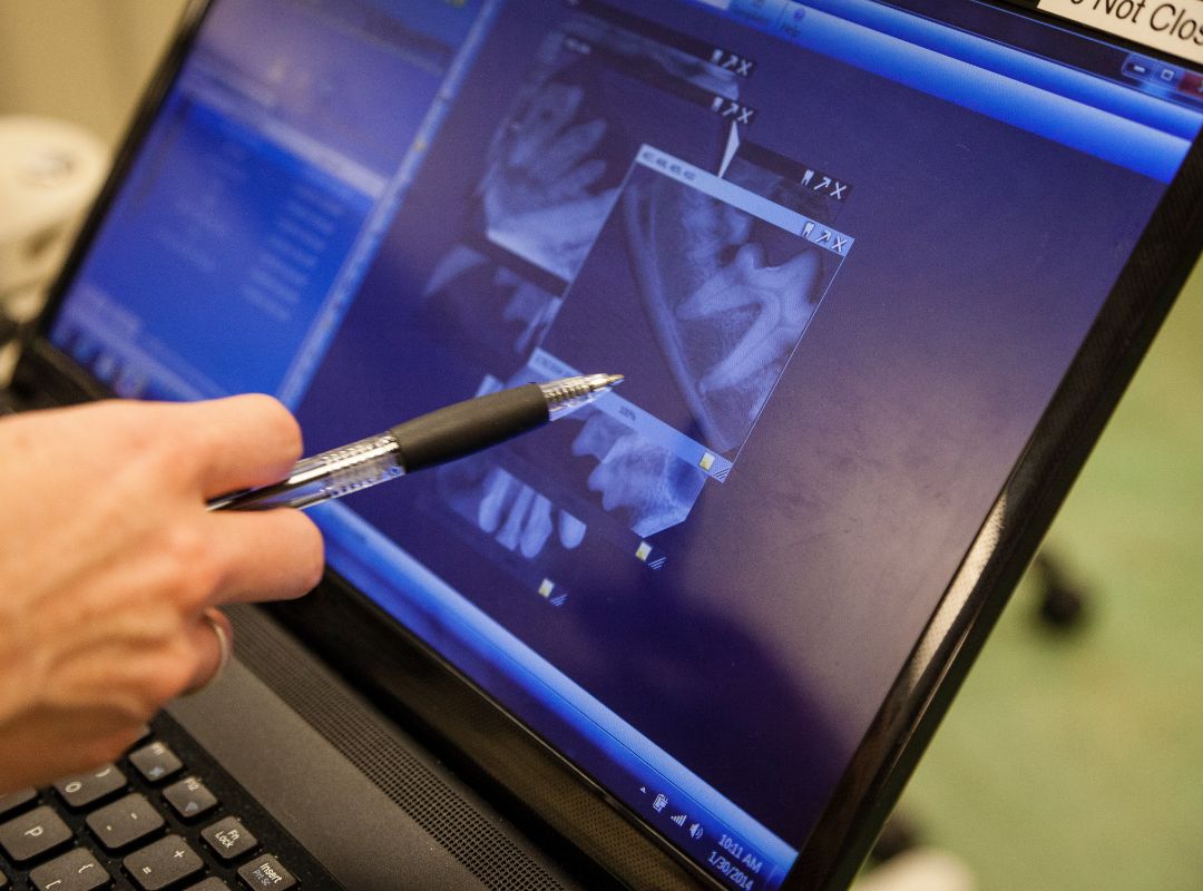 a vet checking ultrasound of pet dental